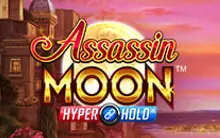 Assassin Moon game cover